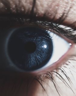 Extreme close up of human eye