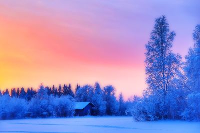 Trees on snow covered field against sky at sunset