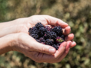 Close-up of hand holding grapes