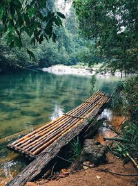 Scenic view of river in forest