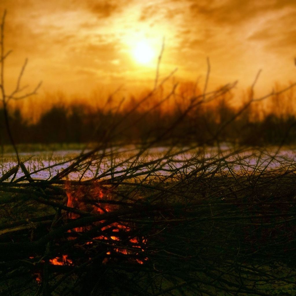 sunset, water, tranquility, tranquil scene, sun, lake, scenics, beauty in nature, nature, sky, plant, sunlight, reflection, silhouette, idyllic, grass, river, growth, orange color, outdoors