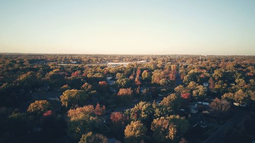High angle view of trees against clear sky