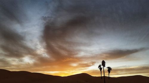 Silhouette person photographing against sky during sunset