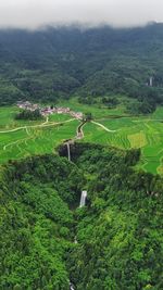 High angle view of agricultural field