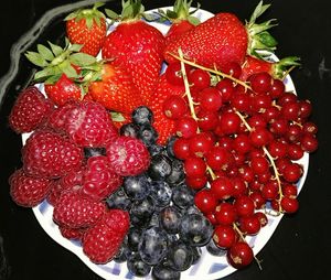 Close-up of red berries