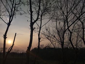 Silhouette bare trees against sky during sunset