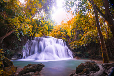 Scenic view of waterfall in forest during autumn