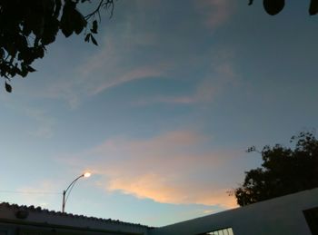 Low angle view of silhouette trees against sky