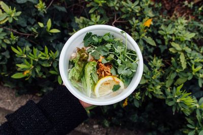 Close-up of food in bowl