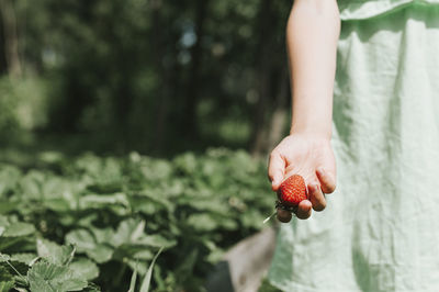 Midsection of man holding fruit