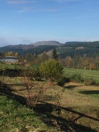 Scenic view of landscape against sky