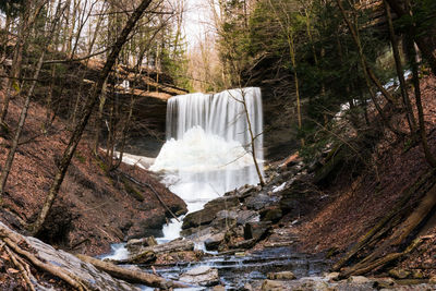 Waterfall in forest