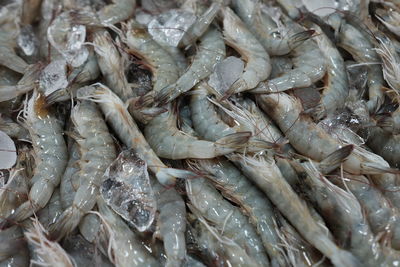 Full frame shot of fish for sale in market