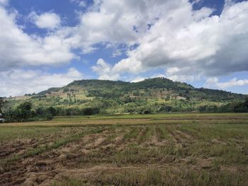 Scenic view of field against sky