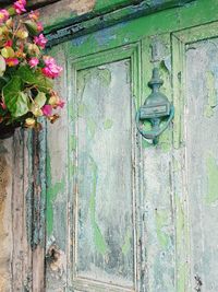 Close-up of plants on wooden door