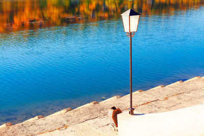 Street lamp at the lake shore . autumn nature reflection in the water