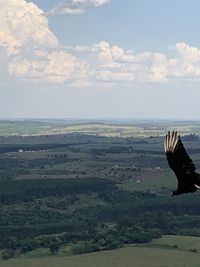 View of a bird flying over landscape
