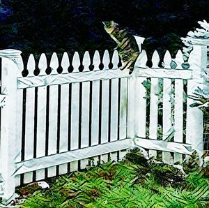 Plants and trees in park