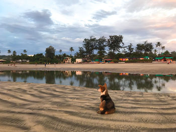 Woman sitting by lake against sky