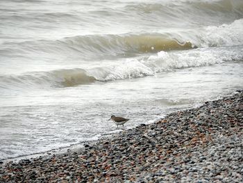 View of a beach