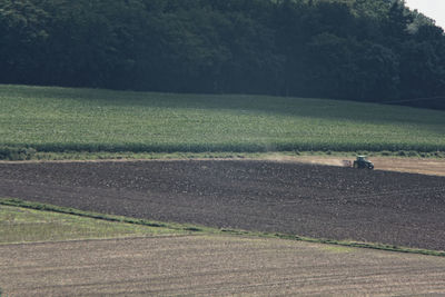 Scenic view of agricultural field