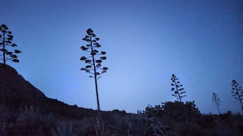 Low angle view of silhouette trees against clear blue sky