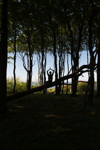 Man by trees against sky