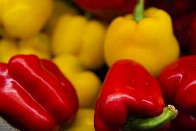 Close-up of red chili peppers