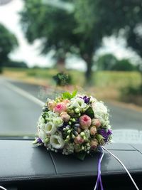 Close-up of flowering plant