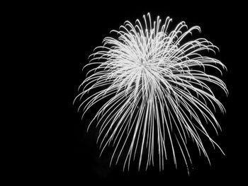 Low angle view of fireworks in sky at night