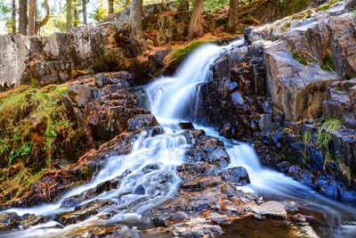 View of waterfall in forest