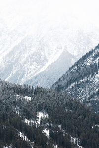 Scenic view of snow covered landscape