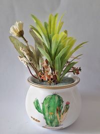 Close-up of potted plant on table