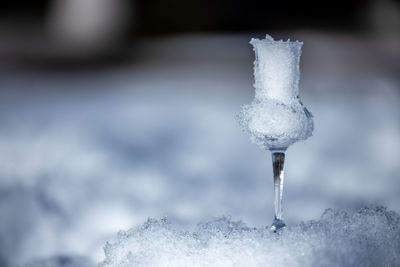 Close-up of water splashing