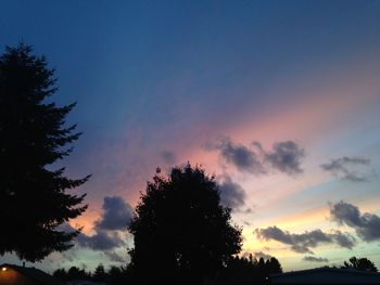 Low angle view of silhouette trees against sky