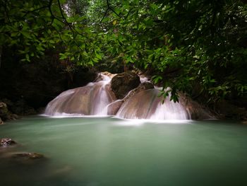 Scenic view of waterfall in forest