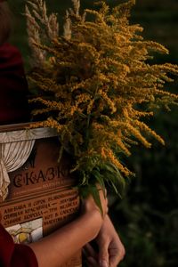 Close-up of hand holding plant