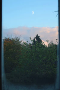 Plants and trees on field against sky