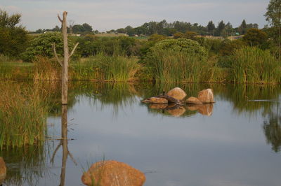 Scenic view of lake against sky