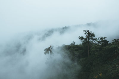 Scenic view of waterfall against sky