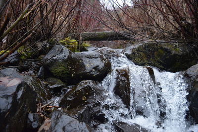 Scenic view of waterfall in forest