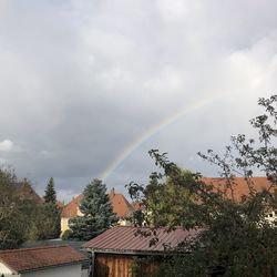Rainbow over houses and trees against sky