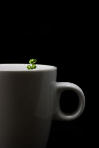 Close-up of tea cup against black background with a mint plant in 