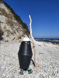 Rear view of person on beach