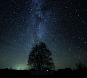 Low angle view of silhouette trees against sky at night