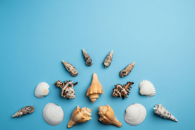 Ocean inspired flat lay composed of sea shells and star fish on blue