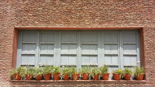 Built structure with windows