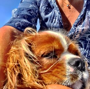 Close-up of woman with dog