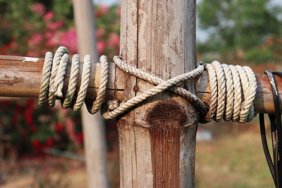 Close-up of rope tied to wooden post