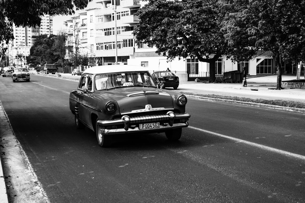 transportation, mode of transportation, car, motor vehicle, black and white, city, monochrome, land vehicle, architecture, street, vehicle, automobile, monochrome photography, road, tree, luxury vehicle, building exterior, vintage car, built structure, plant, day, city street, city life, antique car, black, outdoors, sign, symbol, road marking, nature, motion, marking, on the move, sports car